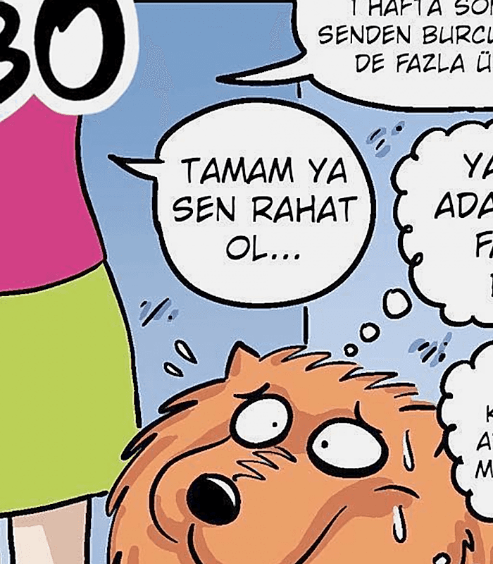 Serkan Altuniğne – Bobo Karikatür Serisi